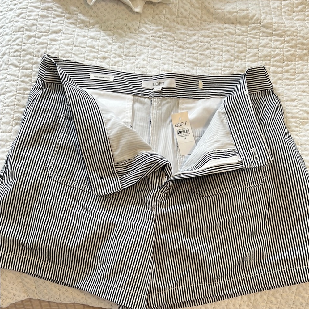 LOFT Black and White Striped Shorts
